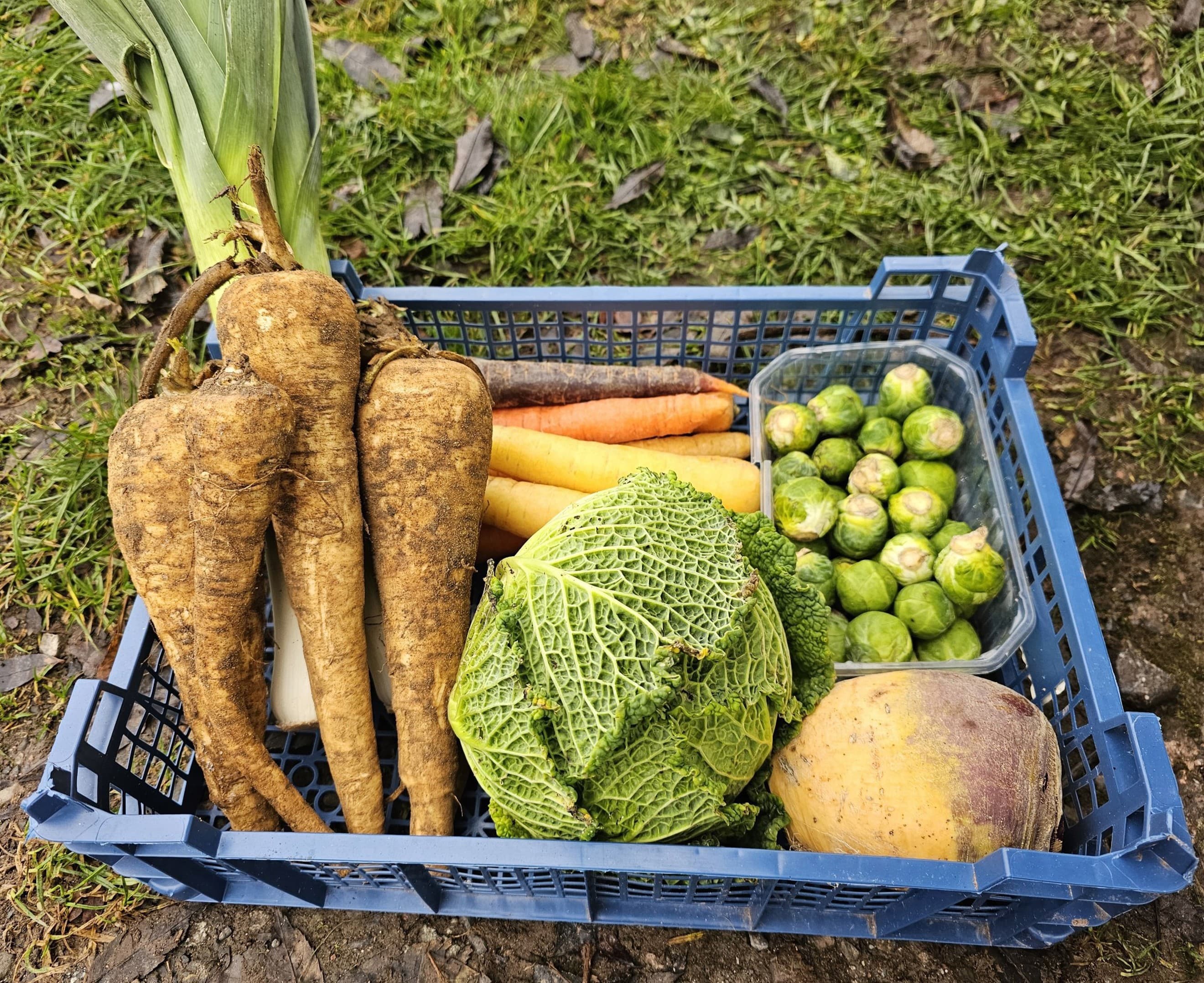 Small Veg Box